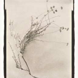 5 reasons to visit Mesa Contemporary Arts