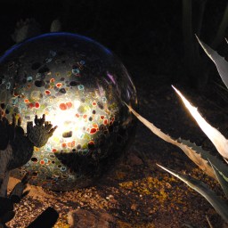 Photo highlights from the fall season