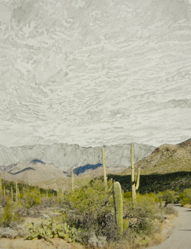 From the "Imported Sunset" series by Karolina Sussland, on view at The Hive.