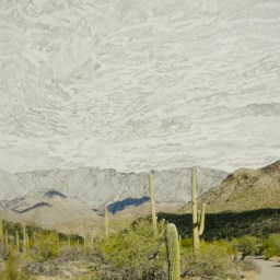 The widening circle of Phoenix’s art scene