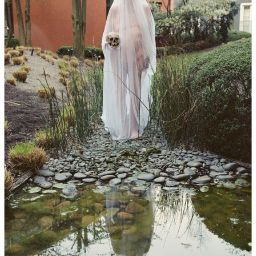 First Friday recommendation: “Vanitas” at PAM